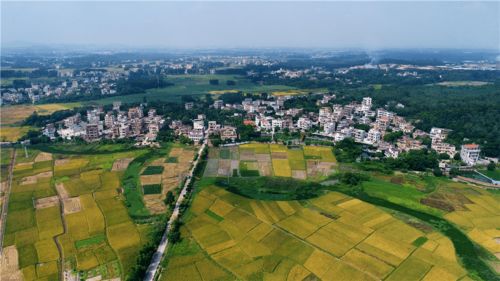 向着红色的茂名进发