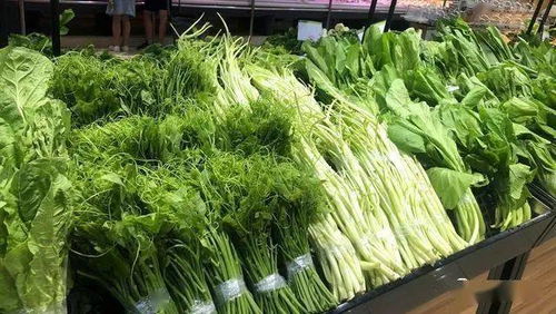 茂名主要商品价格变动周报