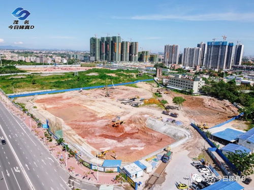 茂名市区多所学校建设迎新进展，优质教育资源持续扩容