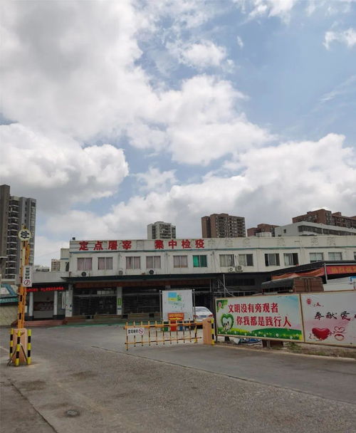 茂名市肉联厂 城市发展与居民生活的博弈与出路