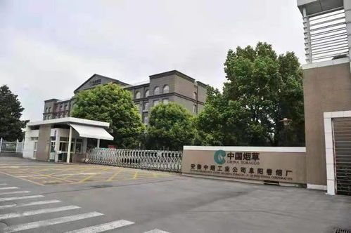 阜阳卷烟厂搬迁与城市更新 老厂区的未来与茂名的启示