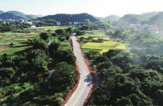 滨海绿城，好心茂名 一座城市的魅力与温度